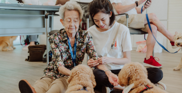 ANIMAL ASSISTED INTERACTIONS SINGAPORE PRIVATE LIMITED